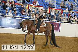 14usn_12288 thumbnail
