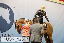 14usn_12377 thumbnail