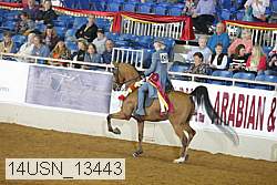 14usn_13443 thumbnail