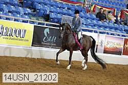 14usn_21202 thumbnail