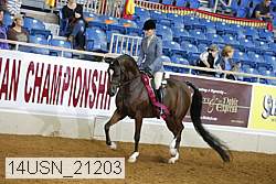 14usn_21203 thumbnail