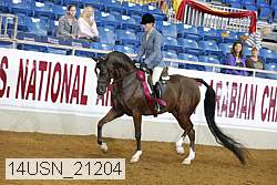 14usn_21204 thumbnail