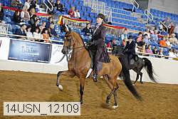 14usn_12109 thumbnail