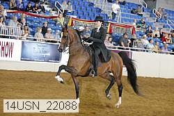 14usn_22088 thumbnail