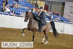 14usn_22089 thumbnail