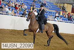 14usn_22090 thumbnail