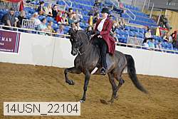 14usn_22104 thumbnail