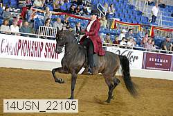 14usn_22105 thumbnail