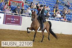14usn_22106 thumbnail