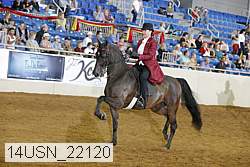14usn_22120 thumbnail
