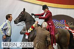 14usn_22213 thumbnail