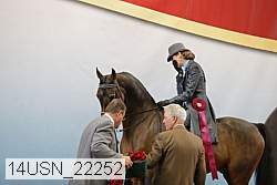 14usn_22252 thumbnail