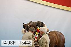 14usn_18448 thumbnail