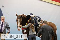 14usn_31183 thumbnail