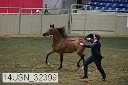 14usn_32399 thumbnail