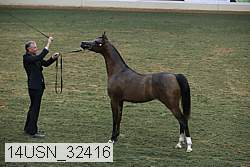 14usn_32416 thumbnail
