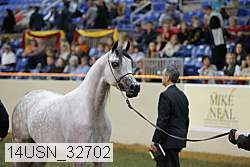 14usn_32702 thumbnail