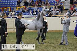 14usn_32709 thumbnail