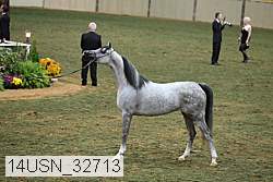 14usn_32713 thumbnail