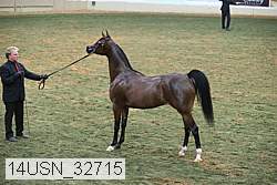 14usn_32715 thumbnail