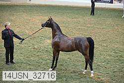 14usn_32716 thumbnail