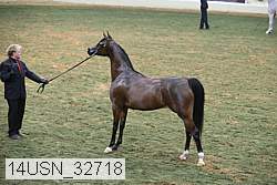 14usn_32718 thumbnail