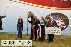 14usn_32765 thumbnail
