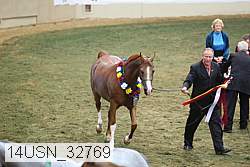 14usn_32769 thumbnail
