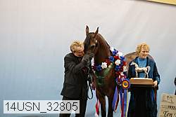14usn_32805 thumbnail