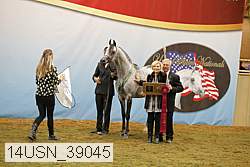 14usn_39045 thumbnail