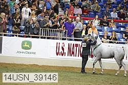 14usn_39146 thumbnail