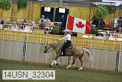 14usn_32304 thumbnail
