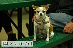 14usn_07771 thumbnail