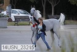 14usn_23215 thumbnail