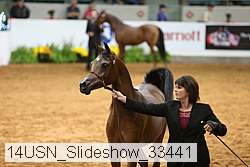 14usn_slideshow_33441 thumbnail