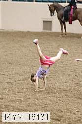 14yn_16431 thumbnail