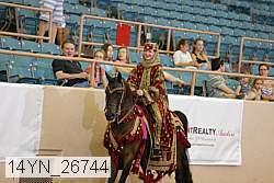 14yn_26744 thumbnail