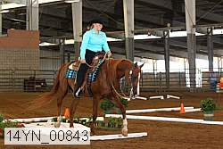 14yn_00843 thumbnail
