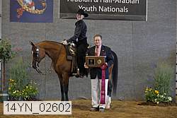 14yn_02602 thumbnail