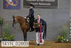 14yn_02603 thumbnail