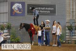 14yn_02622 thumbnail