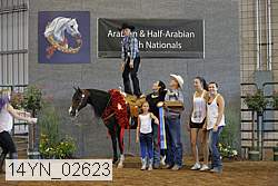 14yn_02623 thumbnail