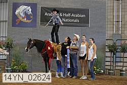 14yn_02624 thumbnail