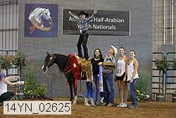 14yn_02625 thumbnail