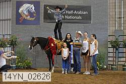 14yn_02626 thumbnail