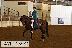 14yn_03531 thumbnail