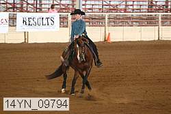 14yn_09794 thumbnail