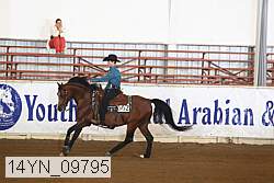 14yn_09795 thumbnail