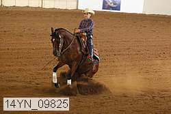 14yn_09825 thumbnail