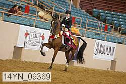 14yn_09369 thumbnail